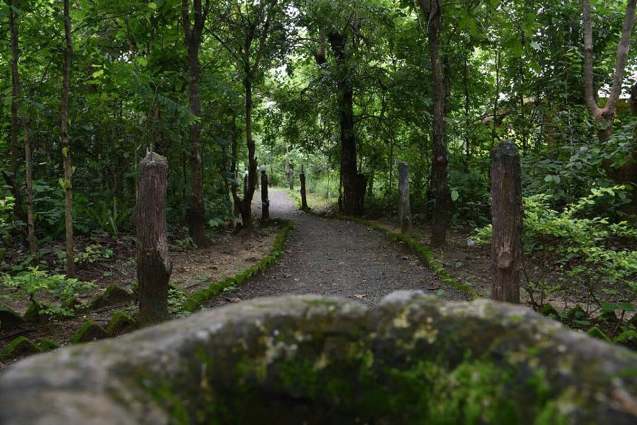 Royal Jungle Resort Pench