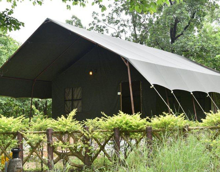 Royal Jungle Retreat Pench