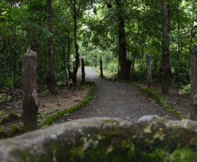 Royal Jungle Retreat Pench