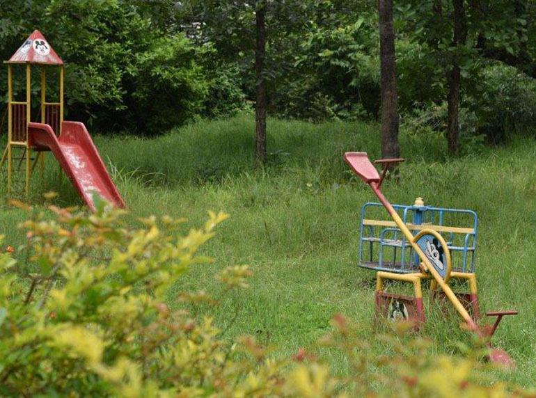 Royal Jungle Retreat Pench